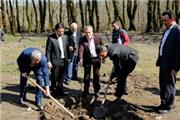 مازندران ؛ آغاز هفته منابع طبیعی با جشن روز درختکاری