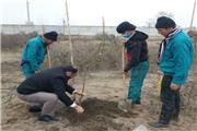 کاشت ​یک هزارو 500 اصله نهال از گونه‌های درختی و درختچه‌ای در محوطه باغ گیاه‌شناسی دانشگاه مازندران