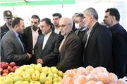 برخورد فاطع با هنجارشکنان و متخلفان در بازار استان
