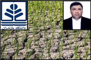 مازندران در سایه خشکسالی؛ ریشه‌ها و راهکارهای برون‌رفت از چالش کم‌آبی