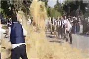 خرمن‌ها در خطر؛ جشن‌های سنتی مازندران با چالش‌های جدی روبه‌رو است