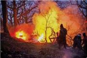 هجوم آتش به جنگل‌های هیرکانی؛ همبستگی ایرانیان و خلأیی که نمی‌توان نادیده گرفت