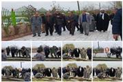 کاشت نهال به نام شهدا و «به یاد رهبر شهیدم» در شهرستان سیمرغ همزمان با روز بزرگداشت شهدا و هفته درختکاری،