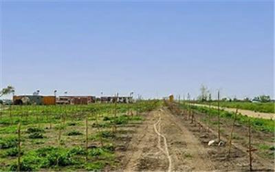 اراضی پتروشیمی میانکاله مازندران باز پس گرفته می شود