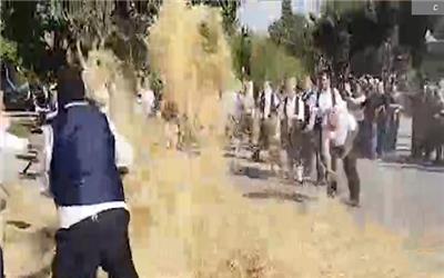 خرمن‌ها در خطر؛ جشن‌های سنتی مازندران با چالش‌های جدی روبه‌رو است