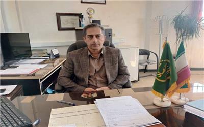 پیش‌بینی برداشت بیش از 145 هزار تن مرکبات از 3740 هکتار باغات سیمرغ