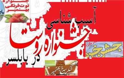 جشنواره‌هایی با نام بومی و محتوای تهی