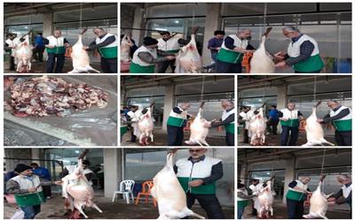 در آستانه میلاد باسعادت امام محمد باقر علیه‌السلام، خادمیاران و یاوران رضوی شهرستان سیمرغ با اقدامی خداپسندانه،نذر خدمت را به ساحت اهل‌بیت(ع) تقدیم کردند