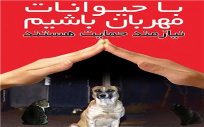 حمایت از حیوانات در شهرهای شمالی، ضرورت قانون‌گذاری، فرهنگ‌سازی و اقدام عملی