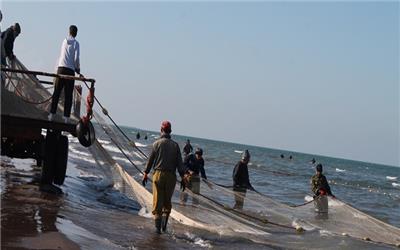 کاهش 48 درصدی صید ماهی‌ در دریای مازندران/ زمان صید ماهی تمدید نمی‌شود