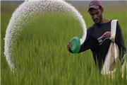 معاون برنامه ریزی و امور اقتصادی جهاد کشاورزی مازندران گفت: تاکنون 20 نفر از کشاورزان استان از 220 میلیون تومان تسهیلات کشاورز کارت استفاده کردند.