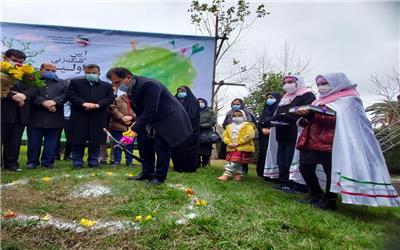 ساخت نخستین کتابخانه سبز کشور در مازندران کلید خورد