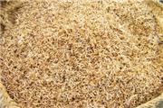 رجب فلاح مدیر جهاد کشاورزی شهرستان سیمرغ گفت : 42 تن بذر برنج گواهی شده بین شالیکاران شهرستان سیمرغ توزیع شد.