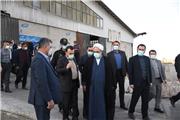 مهلت 30 روزه دادگستری برای تعیین تکلیف نهاده‌های دامی در مازندران