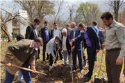 پاک سازی و درختکاری 408  کیلومتر از حاشیه جاده های اصلی در مازندران