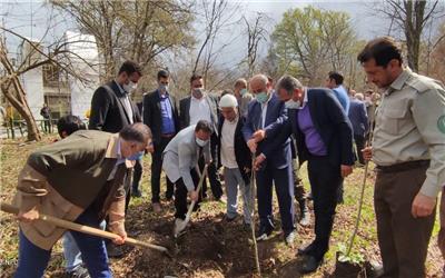 پاک سازی و درختکاری 408  کیلومتر از حاشیه جاده های اصلی در مازندران