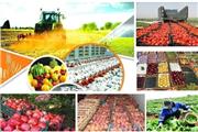 تخصیص 3 هزار و 50 میلیارد تومان اعتبار به بخش کشاورزی مازندران در سفر رییس جمهور به استان