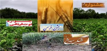 وقتی «جشنواره» به بازارچه بدل میشود وقتی «جشنواره» به بازارچه بدل میشود