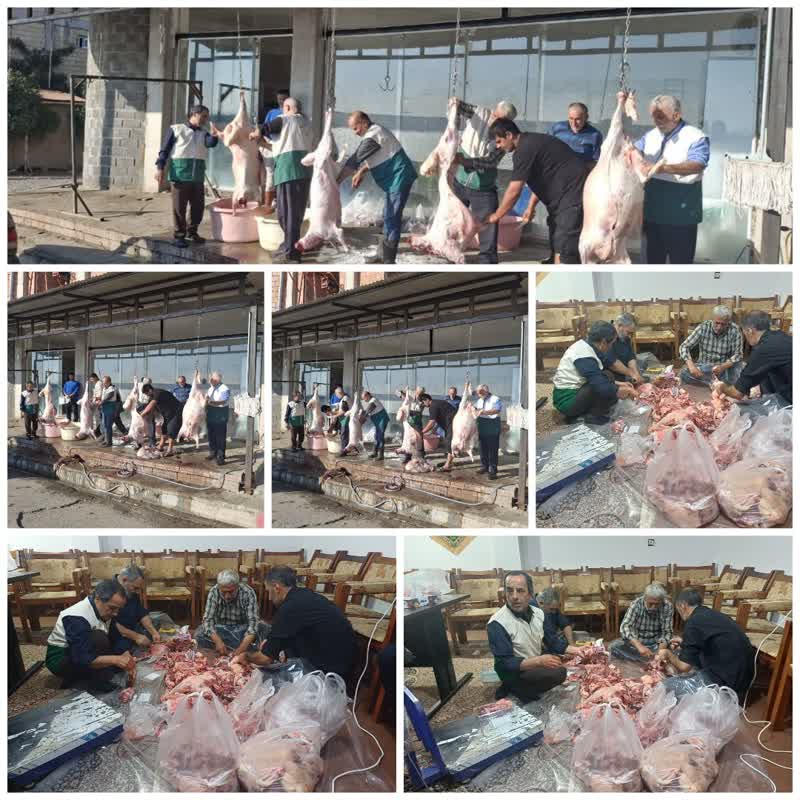 خادمیاران و یاوران رضوی شهرستان سیمرغ با ذبح چهار رأس گوسفند،جلوه‌ای از همدلی و خدمت مؤمنانه را به نمایش گذاشتند